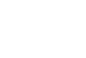 Houston TeleVet logo